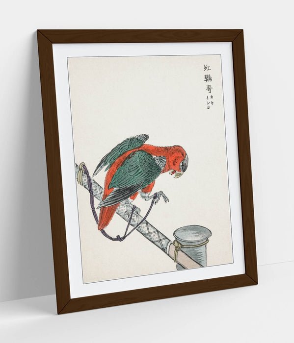 Framed Wall Art - Numata Kashu Macaw Poster Print | Handmade UK Woodgrain Frame