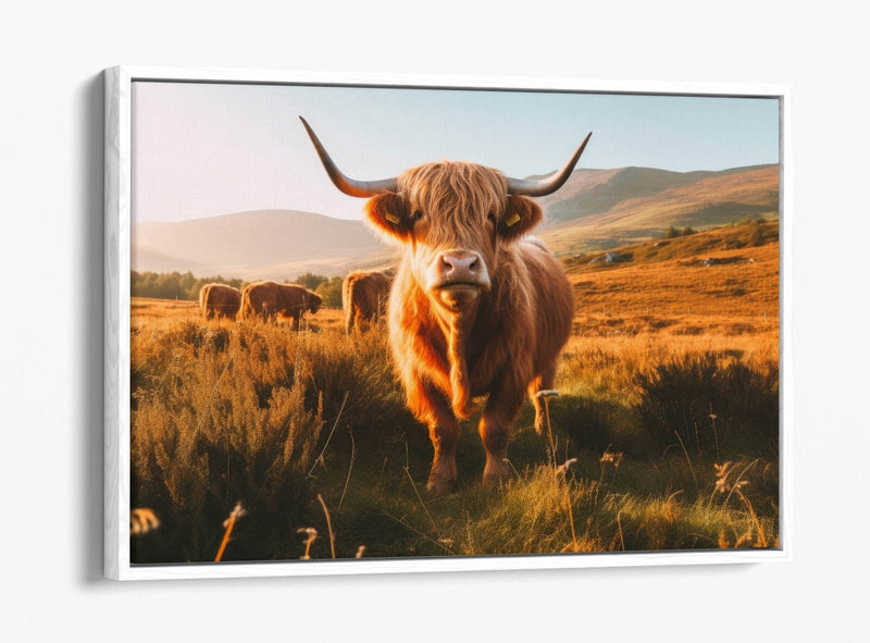 Float Effect Canvas - Highland Cows Print | Premium Varnish Finish Wall Art