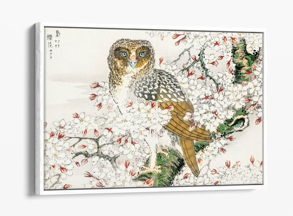 Canvas Wall Art Print – Numata Kashu Owl & Cherry Blossom Float Effect
