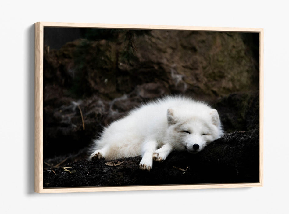 Wolf Canvas Art - Handmade Float Effect Canvas Wall Decor With Premium Frame