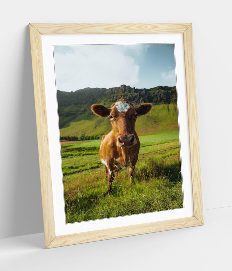 Framed Wall Art - Brown Cow In Green Field | Handmade UK Home Decor Print