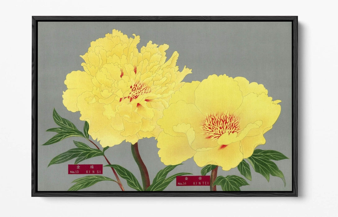 Vintage Canvas Wall Art – Peony Blossom Print with Float Effect Frame, Handmade