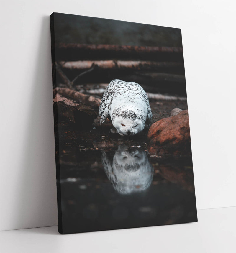 Snowy Owl Canvas Art – Handmade Bedroom Wall Art With Premium Varnish Finish