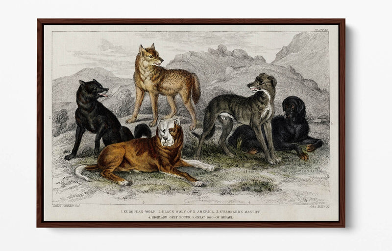 Canvas Wall Art Print | Premium Canvas Frame, Vibrant Wall Decor Dog Design
