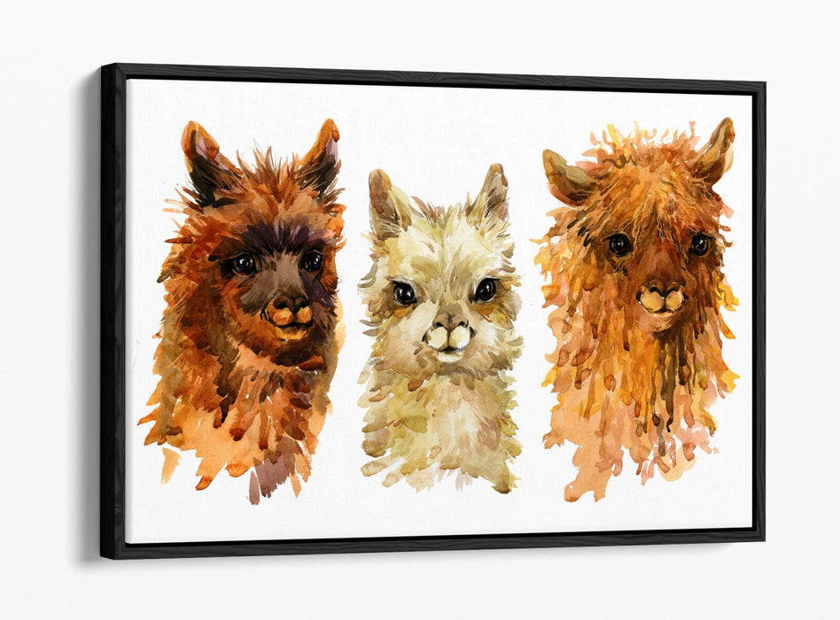 Alpaca Canvas Wall Art - Watercolour Style Float Effect Print With MDF Frame