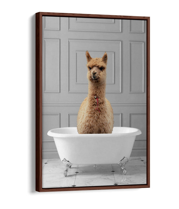 LLAMA IN BATHTUB -QUIRKY BATHROOM FLOAT EFFECT CANVAS WALL ART PIC PRINT