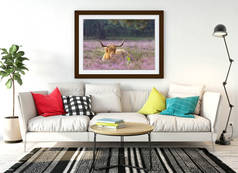 Highland Cow Wall Art – Framed Rustic Animal Art | Purple Flower Decor Print