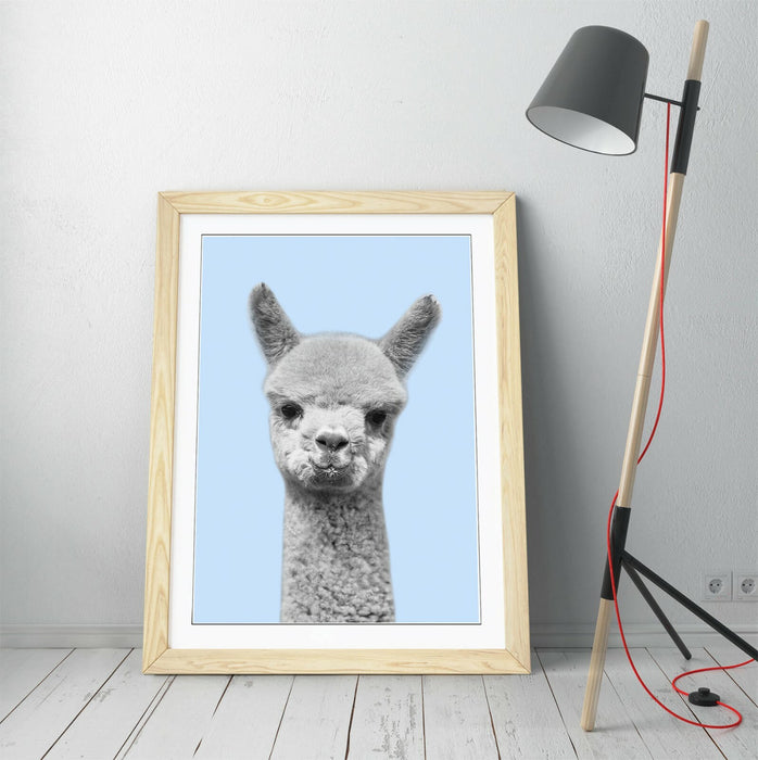ALPACA BLACK WHITE BABY BLUE -FRAMED ART POSTER PICTURE PRINT ARTWORK