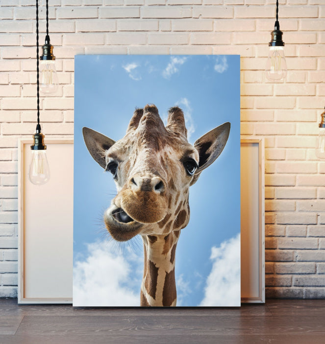 GIRAFFE SMILING QUIRKY CANVAS WALL ART PRINT ARTWORK ANIMAL FRAMED