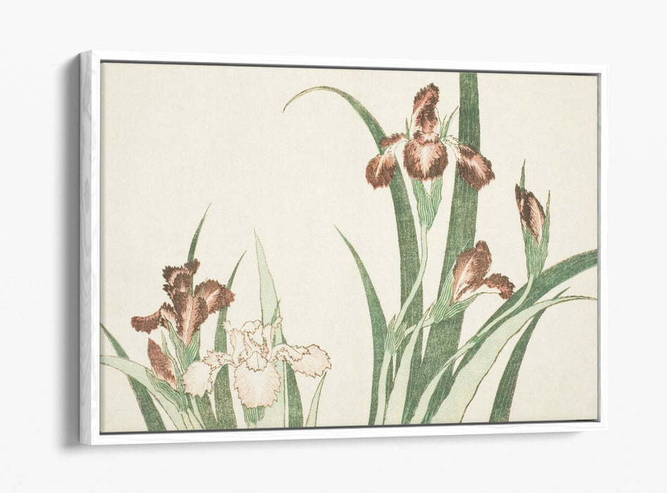 Canvas Wall Art – Katsushika Hokusai Iris Float Effect Canvas Print with Premium Frame