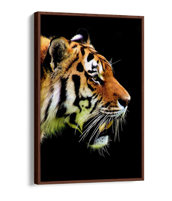 TIGER HEAD -FLOAT EFFECT CANVAS WALL ART PIC PRINT- BLACK