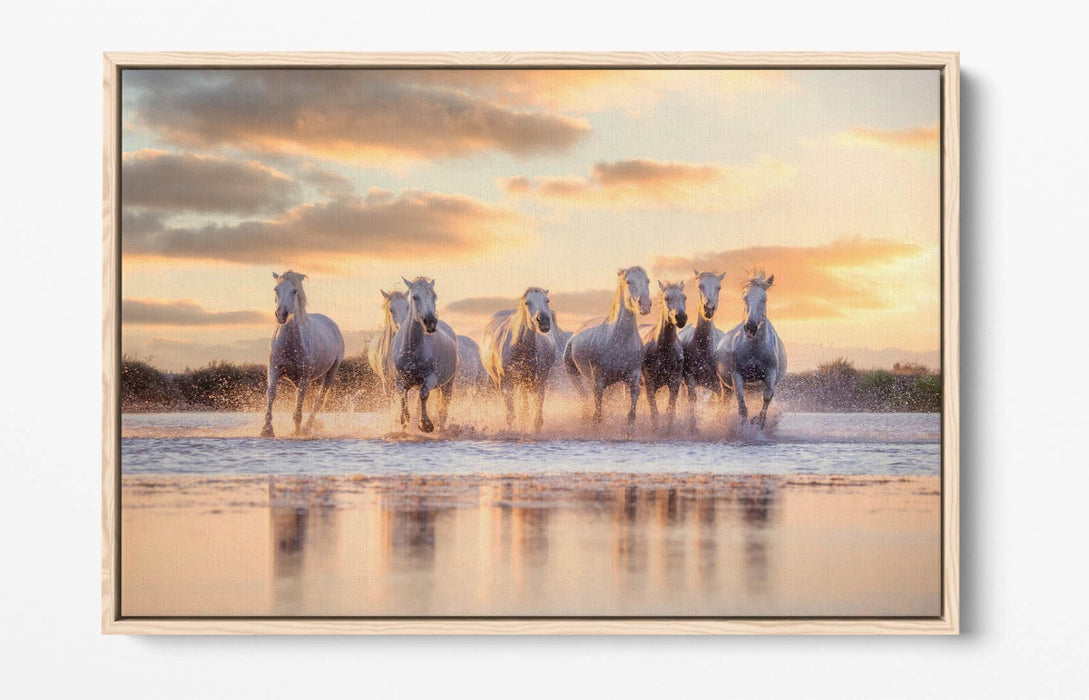 Canvas Wall Art - Wild White Horses Running On Water | Float Effect Canvas Print