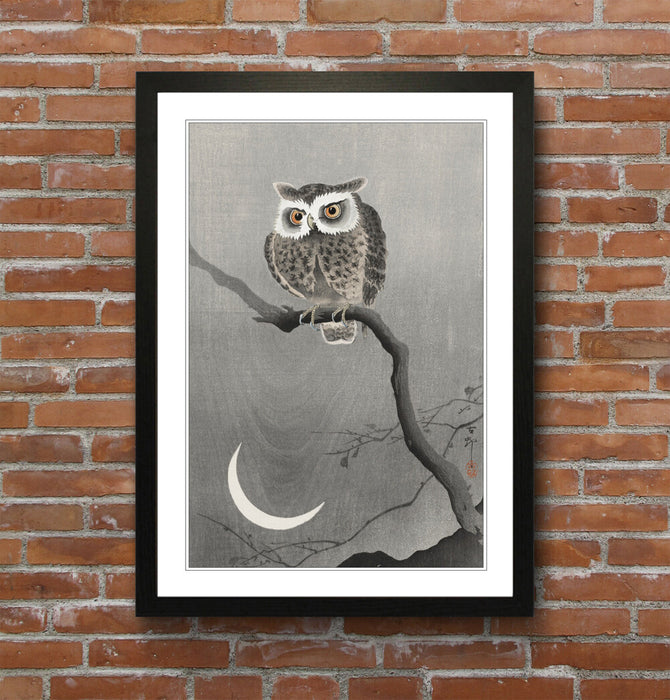 COOL OWL FRAMED WALL ART PICTURE PRINT ARTWORK POSTER JAPANESE 4 SIZES