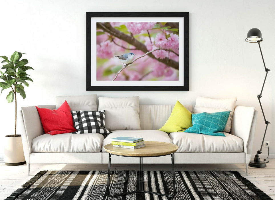 BIRD & CHERRY BLOSSOM PHOTOGRAPHY -FRAMED POSTER WALL ART PICTURE PRINT ARTWORK