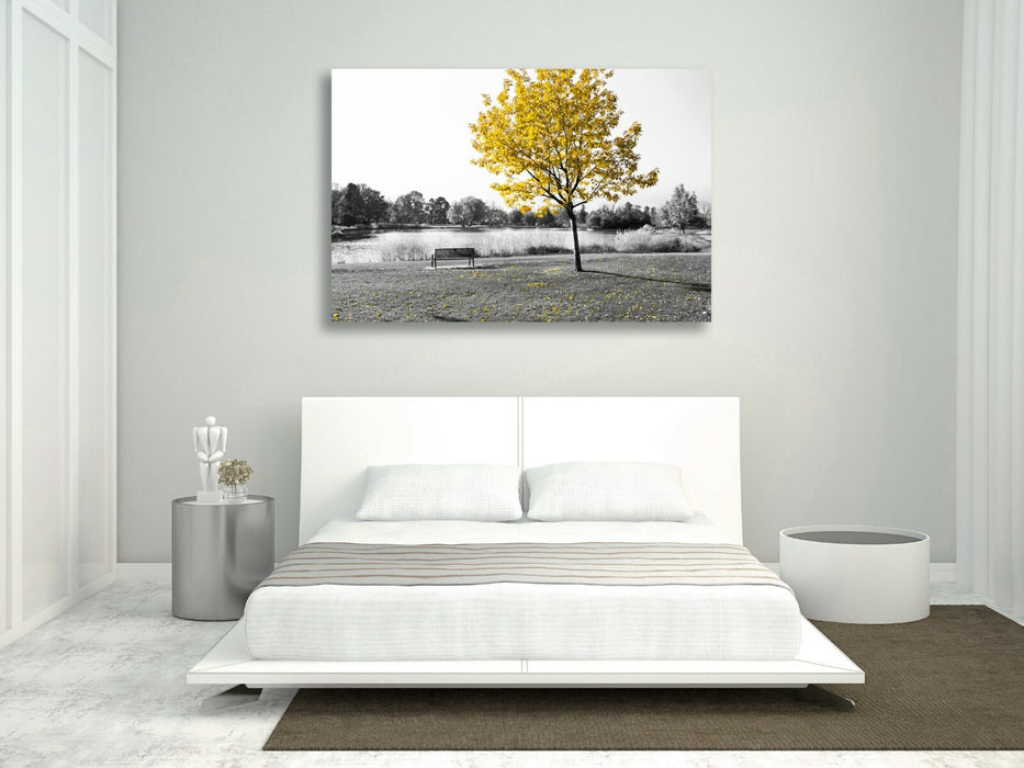 Canvas Wall Art - Yellow Tree Leaves Bench Black White Print 30mm Deep Frame