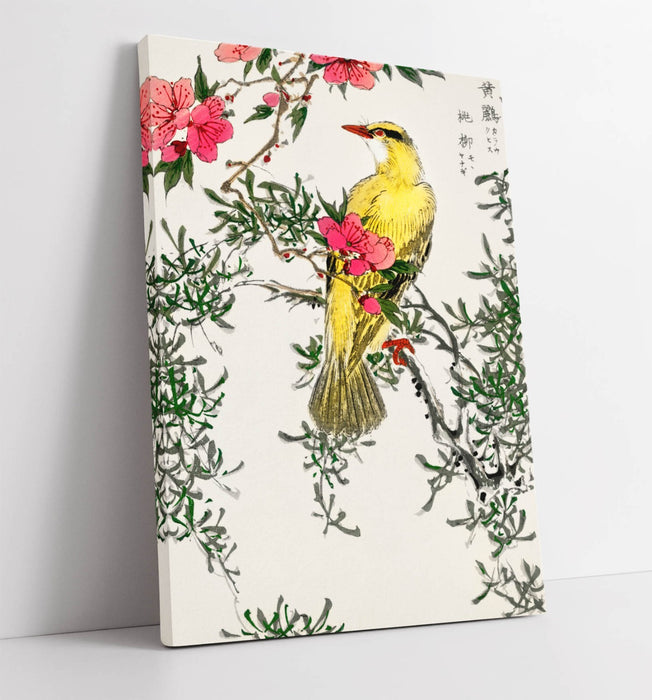 Canvas Wall Art - Chinese Bush Warbler Bird Print on Handmade Archival Canvas
