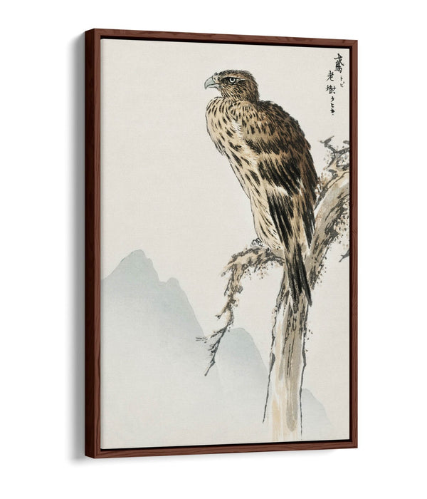 Canvas Wall Art - Numata Kashu Black Eared Kite Float Effect Print on Premium Frame