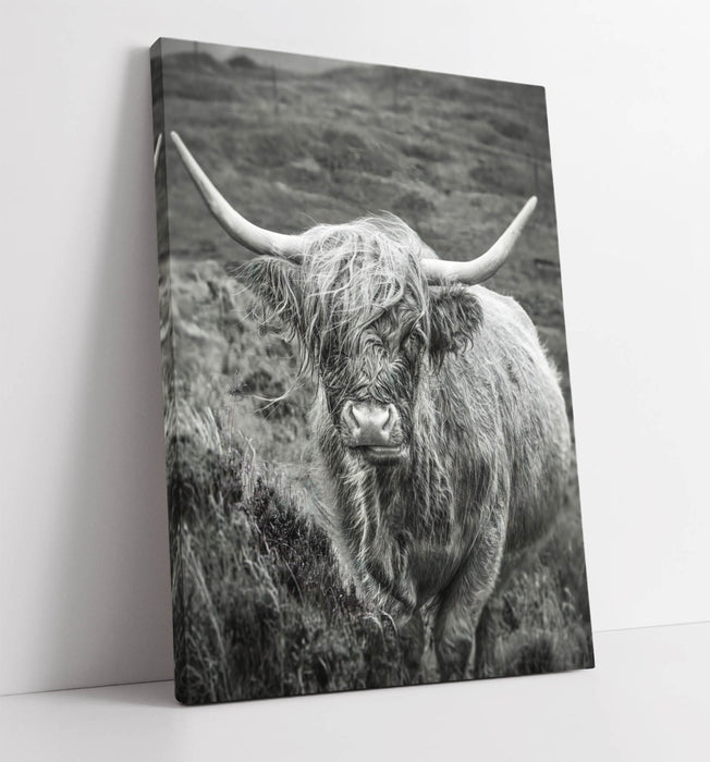 Highland Cow Canvas - Black and White Wall Art | Rustic Bedroom Decor Print