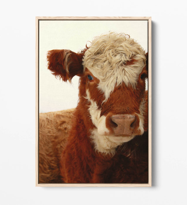 Cow Canvas Wall Art - Brown White Cow Print on Float Effect Canvas | Handmade