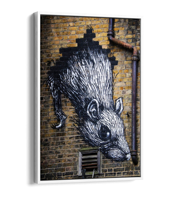 Rat Wall Art - Urban Graffiti Canvas Wall Art With Float Effect Frame